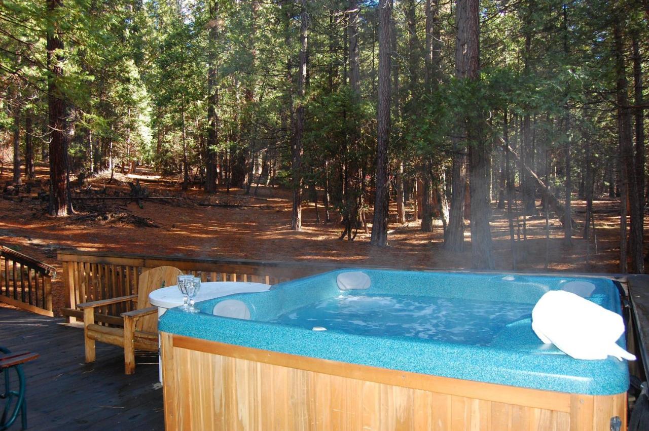 Bear Crossing Villa Wawona Ngoại thất bức ảnh